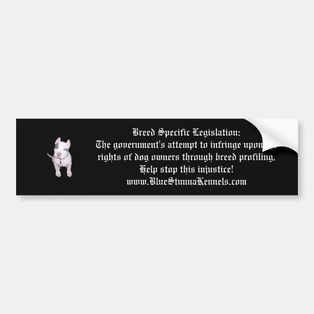 Definition of BSL Bumper Sticker--ON SALE!! Sticker (Front)