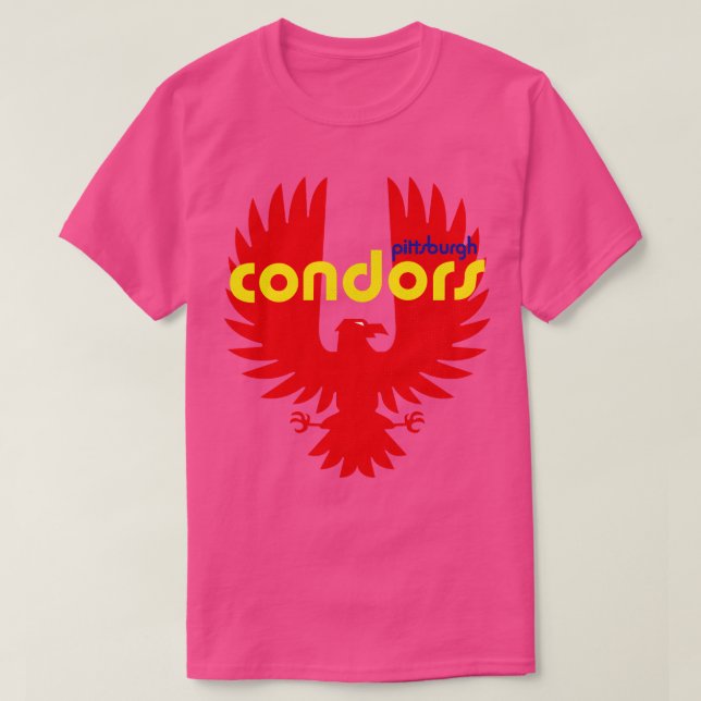 Defunct Pittsburgh Condors ABA Basketball 1971 T-Shirt (Design Front)