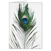 Defused Peacock Feather (Front)