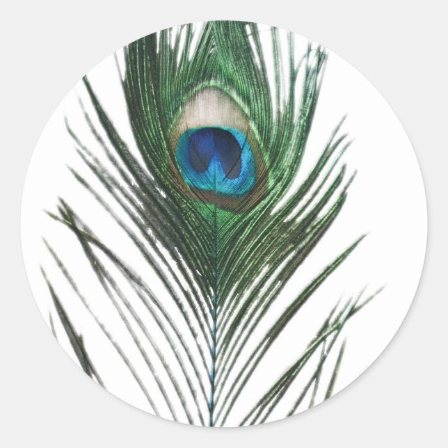 Defused Peacock Feather Classic Round Sticker (Front)