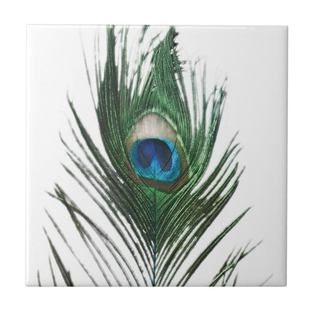 Defused Peacock Feather Trivet (Front)