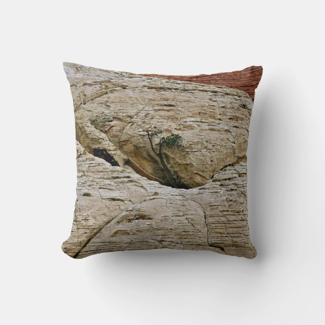 DEFYING THE ODDS, TREE BETWEEN DESERT ROCKS THROW PILLOW (Front)