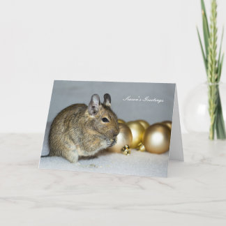 Degu & Baubles Season's Greetings Christmas Holiday Card