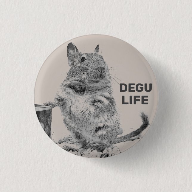 ⊿ DEGU. ⊿ BUTTON (Front)