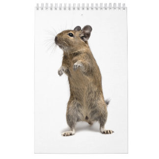 Degu family calendar