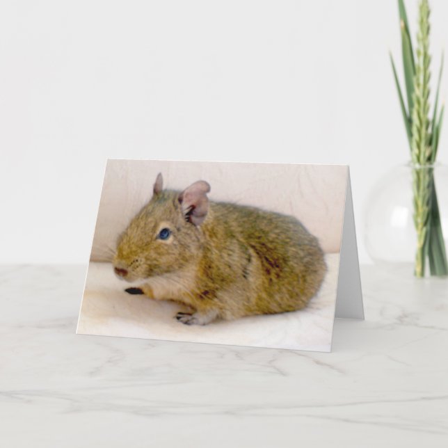 Degu Greeting Card (Front)