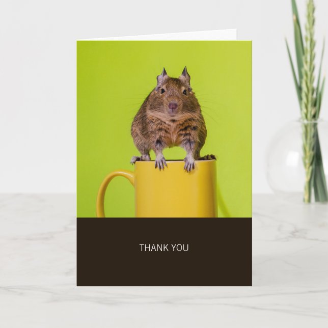 Degu on Yellow Cup Thank You (Front)