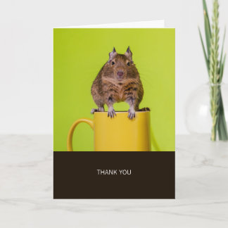 Degu on Yellow Cup Thank You