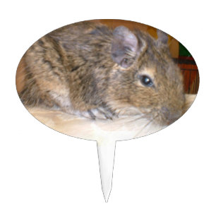 Degu Relaxing Cake Pick