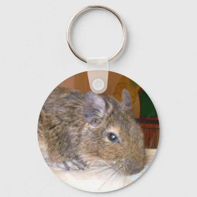Degu Relaxing Keychain (Front)