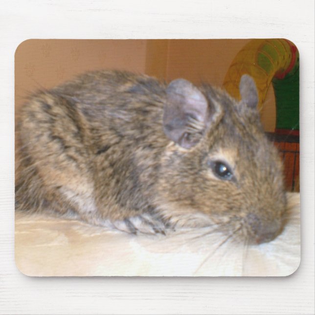 Degu relaxing Mousepad (Front)