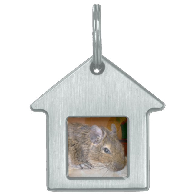 Degu Relaxing Pet Tag (Front)