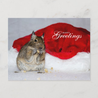 Degu & Santa Hat Season's Greetings Holiday Postcard