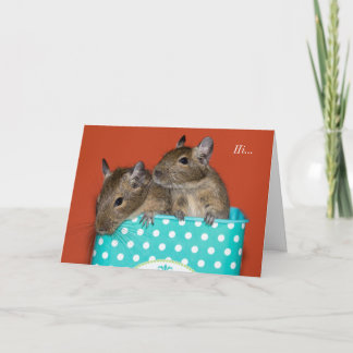 Degus inside Coffee Tin 'Hi' Card