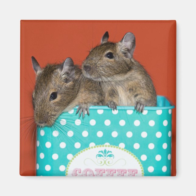 Degus with Polka Dots Magnet (Front)