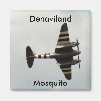 Dehaviland Mosquito Magnet