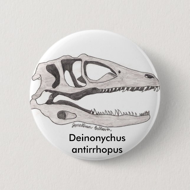 Deinonychus antirrhopus button (Front)