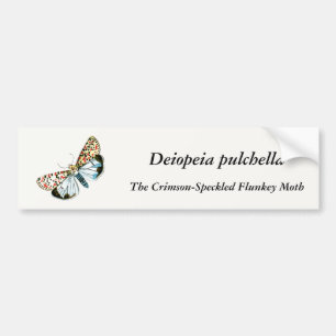 Deiopeia pulchella - Crimson-Speckled Flunkey Moth Bumper Sticker