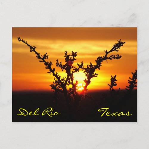 Del Rio Texas Brush Sunset Postcard