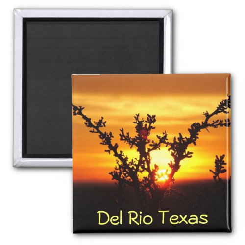 Del Rio Texas souvenirs desert brush sunset Magnet