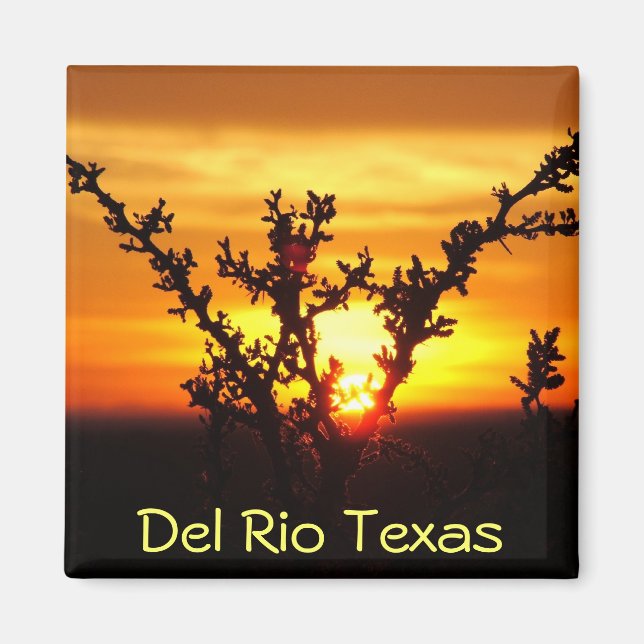 Del Rio Texas souvenirs desert brush sunset Magnet (Front)