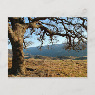 Del Valle Regional Park, Livermore, CA Postcard