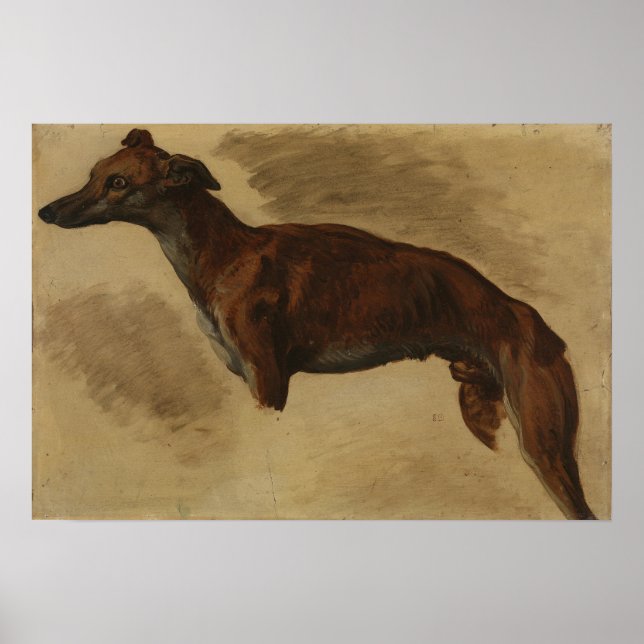 Delacroix - Levrier Presumably 1859 Poster (Front)