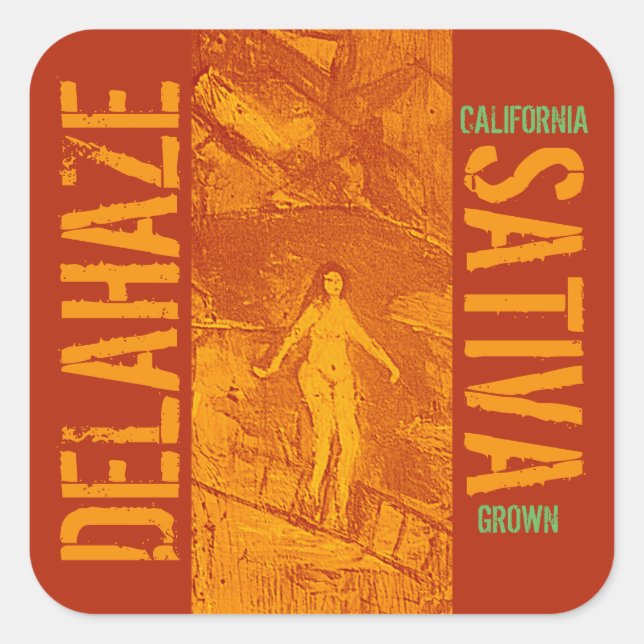 DELAHAZE SATIVA SQUARE STICKER (Front)