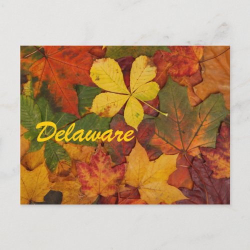 Delaware Autumn Leaves Postcard