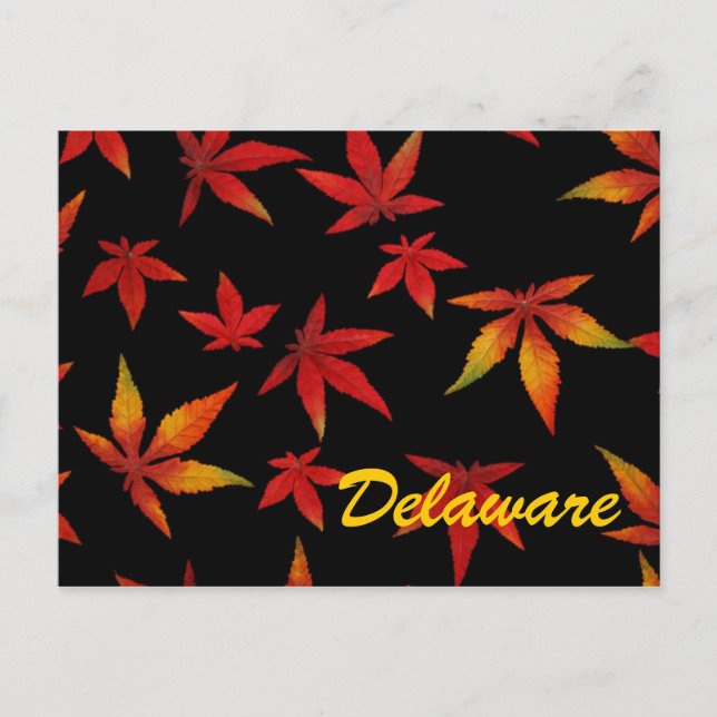 Delaware Autumn Leaves Postcard (Front)