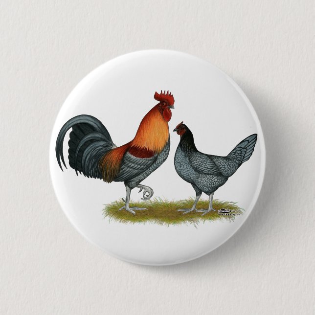 Delaware Blue Hen Pinback Button (Front)