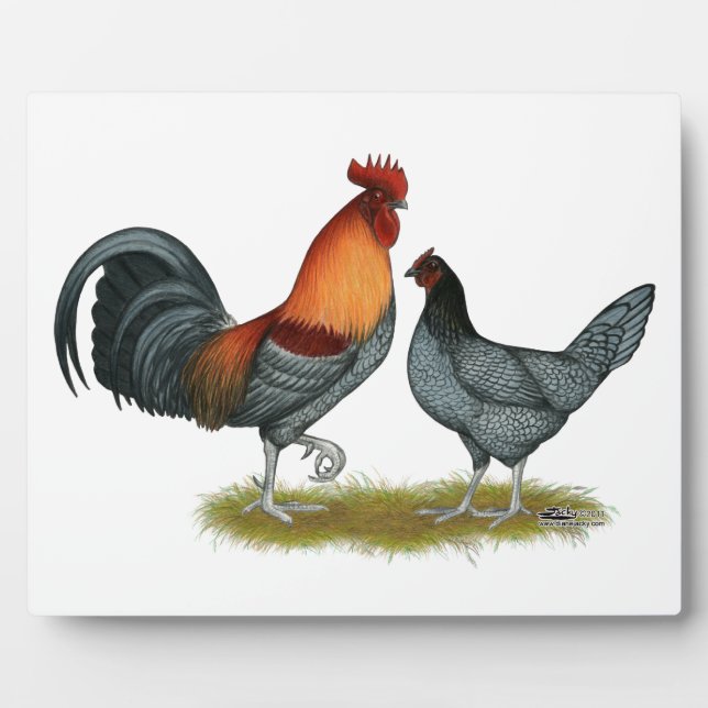 Delaware Blue Hen Plaque (Front)