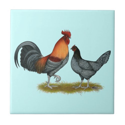 Delaware Blue Hen Tile