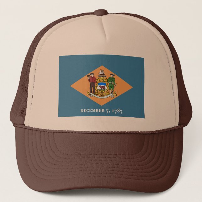 Delaware Flag Hat (Front)