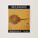 Delaware Horseshoe Crab Jigsaw Puzzle at Zazzle