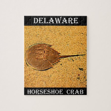Delaware Horseshoe Crab Jigsaw Puzzle