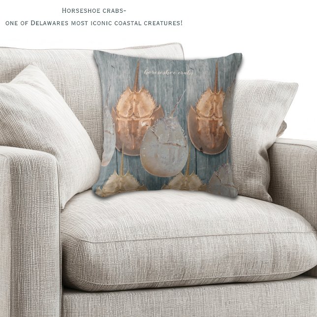 Delaware Horseshoe Crab Pillow – Coastal Decor (Horeshoe crabs are one of the most iconic coastal creatures in DE! Two sided decorative pillow!)