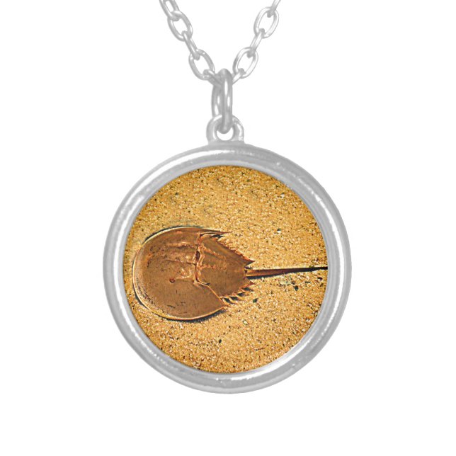 Delaware Horseshoe Crab Silver Plated Necklace (Front)