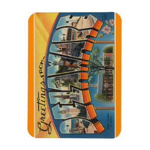 Delaware Magnet