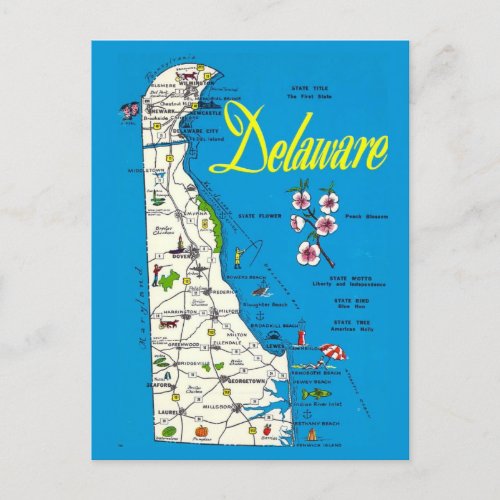 Delaware Map  Postcard