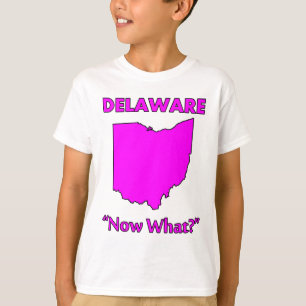 Delaware - Now What? T-Shirt