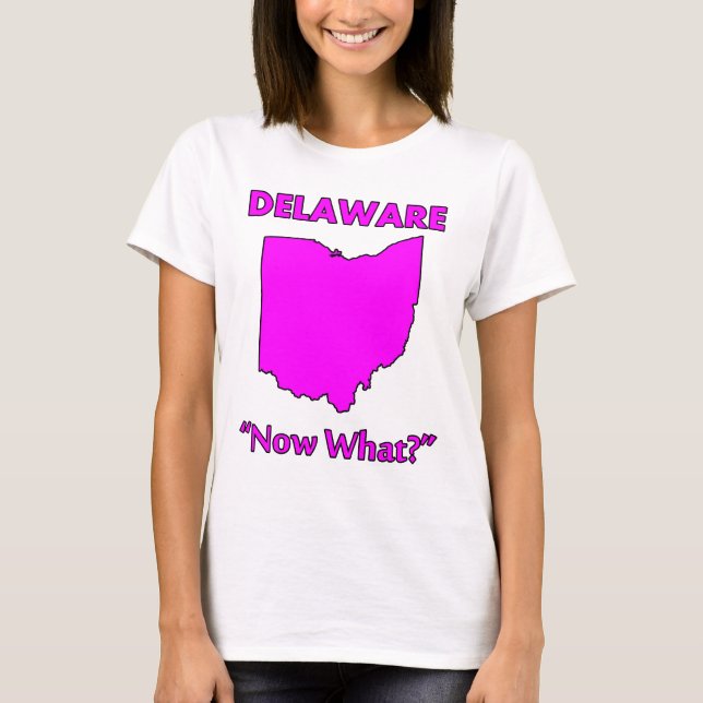 Delaware - Now What? T-Shirt (Front)