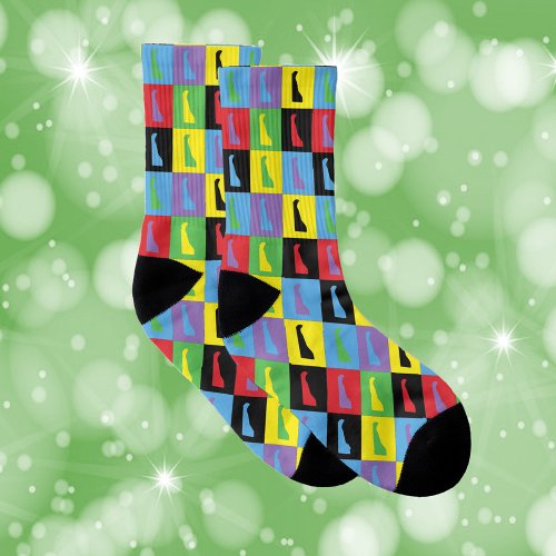 Delaware Pop Art Colorful State Pattern Socks