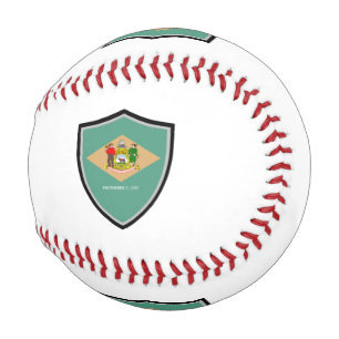 Delaware shield flag baseball