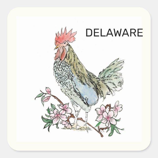 Delaware state bird and flower square sticker (Front)