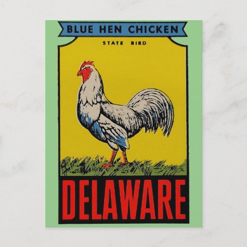 Delaware State Bird Postcard