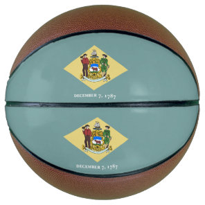 Delaware State Flag Basketball