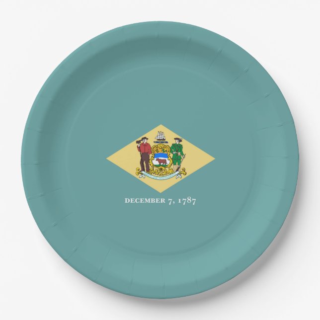Delaware State Flag Design Paper Plates (Front)