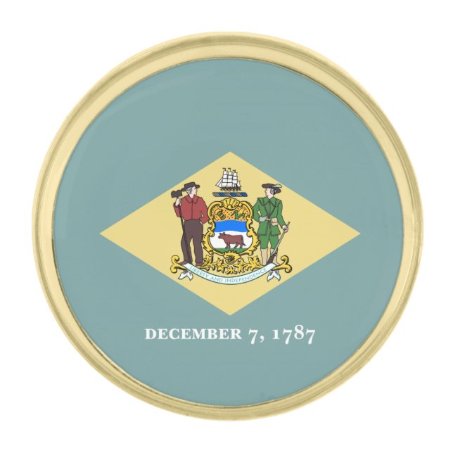 Delaware State Flag Gold Finish Lapel Pin (Front)