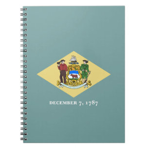 Delaware State Flag Notebook